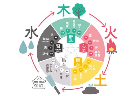 五行 味|自然のものを五つに分類する「五行説」、「五味」「。